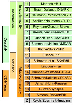 organisation-e