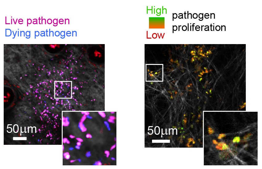 Abbildung Thema Biosensoren Abbildung Thema Biosensoren