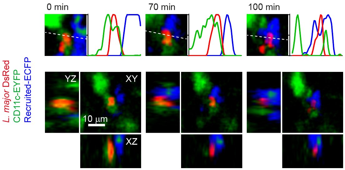 Abbildung Thema Nische Abbildung Thema Nische