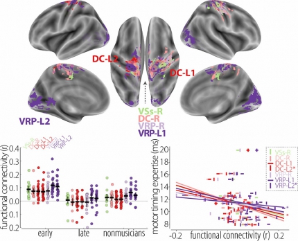 1-s2.0-S1053811921005280-gr3_lrg-w980 1-s2.0-S1053811921005280-gr3_lrg-w980